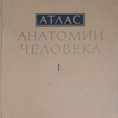 ATLAS DE ANATOMIE UMANA VOL.1 OASE, MUSCHI (IN LB.RUSA)-R.D. SINELNIKOV