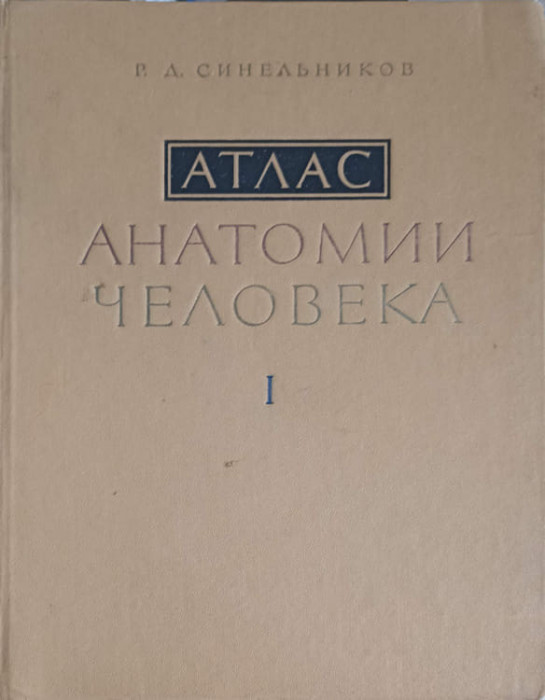 ATLAS DE ANATOMIE UMANA VOL.1 OASE, MUSCHI (IN LB.RUSA)-R.D. SINELNIKOV