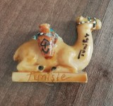 D5 - Magnet frigider - Tematica turism - Tunisia 3