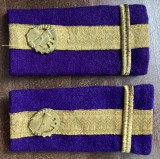 C2 27 - Grade militare - maior financiar - semne de arma metalice aurii - piesa de colectie