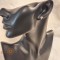 icon 5