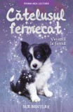 Cumpara ieftin Cățelușul fermecat. Vacanță la fermă