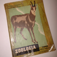 ZOOLOGIA - MANUAL A IX -A - C. BOGOESCU - 1963