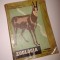 ZOOLOGIA - MANUAL A IX -A - C. BOGOESCU - 1963