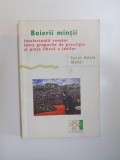 BOIERII MINTII , INTELECTUALII ROMANI INTRE GRUPURILE DE PRESTIGIU SI PIATA LIBERA A IDEILOR de SORIN ADAM MATEI , 2007