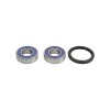 Kit Rulmenti Roata spate Gas-Gas Husqvarna All Balls 25-1417
