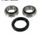 SKF VKBA 1333 Set rulment roata