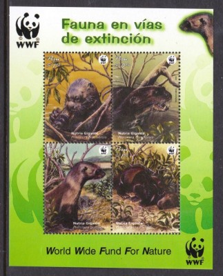 PERU 2004 WWF NURCI foto