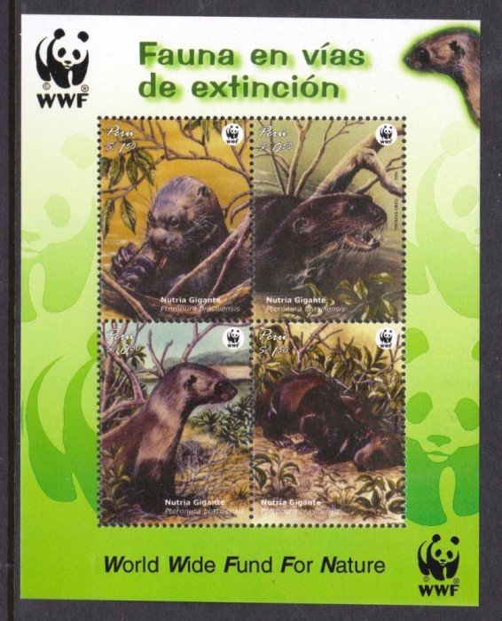 PERU 2004 WWF NURCI