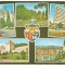 carte postala-MURES -Tg,Mures-COLAJ