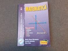 MATEMATICA MANUAL PENTRU CLASA A IX A M 3 AURELIA GOMOLEA