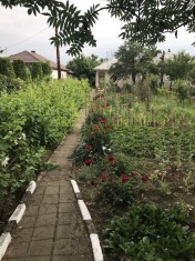 Vand proprietate deosebita in VIDELE, central, jud Teleorman, 60 km de Bucuresti foto