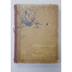 IM LANDE MEINER MODELLE von WILHELM KUHNERT , 1920