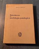 Introducere in morfologia patologica E. C. Craciun