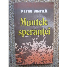MUNTELE SPERANTEI-PETRU VINTILA