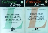 Cumpara ieftin Probleme Analiza Matematica, 2 vol. - Ion Petrica, Emil Constantinescu, Petre Dumitru. Culegere (1993, Romana, Brosata, Stare Buna)