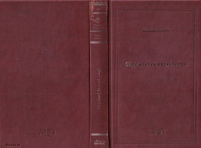 Theodor Constantin - Capitanul de cursa lunga foto