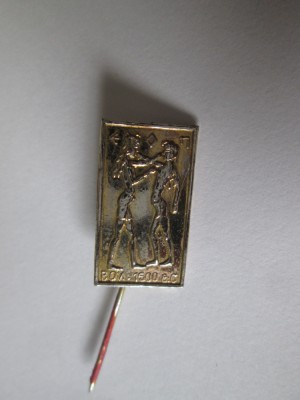 Insigna Box 1500 BC foto