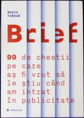 BRIEF: 99 DE CHESTII PE CARE AS FI VRUT SA STIU CAND AM INTRAT IN PUBLICITATE-SORIN TRANCA-335493