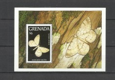GRENADA 1993 FAUNA INSECTE FLUTURI foto