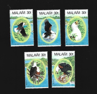 malawi pasari mnh foto