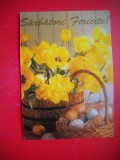 HOPCT 25212 FLORI- SARBATORI FERICITE- FELICITARE PASCALA / PASTE - - - NECIRCULATA