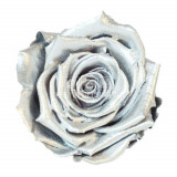 Trandafiri Criogenati XL METALLIC SILVER (&Oslash;6-6,5cm, set 6 buc)