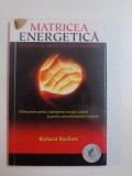 MATRICEA ENERGETICA , STIINTA SI ARTA TRANSFORMARII de RICHARD BARTLETT , 2010 *PREZINTA SUBLINIERI IN TEXT