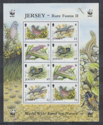 JERSEY 2004 WWF ANIMALE PROTEJATE foto