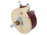 Potentiometru Axial 300&Omega; 50W 6,35mm Ax Crestătură D