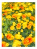 Tablou Canvas, "Dansul florilor &icirc;n v&acirc;ntul verii", Flori, Galbene, Portocalii, Verde, Estompate, Luminoase, Strălucitoare, Delicate, Naturale, Vesele,