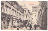 5103 - TIMISOARA, street stores, Romania - old postcard - used - 1910, Circulata, Printata