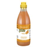 Sampon Iv San Bernard Orange, pentru caini si pisici, 1l