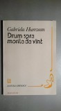 Drum spre morile de vint/vant - Gabriela Hurezean