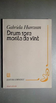 Drum spre morile de vint/vant - Gabriela Hurezean foto