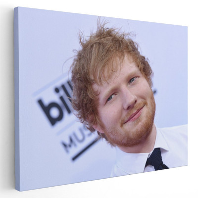 Tablou afis Ed Sheeran cantaret 2285 Tablou canvas pe panza CU RAMA 80x120 cm foto
