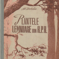 AL. BELDIE - PLANTELE LEMNOASE DIN R.P.R.