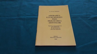 ADORAREA LUI DUMNEZEU PRIN MIJLOCIREA SFINȚILOR / PR. NICOLAE CHIRINDEL/1999 * foto