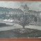 Carte postala, Satu Mare, Parc, perioada interbelica
