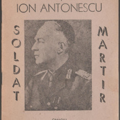 Nicolae Lupan - Maresalul Ion Antonescu soldat martir