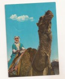 FA128 -Carte Postala - IORDANIA - A ride on the camel, necirculata
