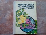 MORFOLOGIA SI ANATOMIA PLANTELOR de GABRIELA SERBANESCU JITARIU 1980