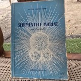 SEDIMENTELE MARINE ACTUALE , Victor Corvin Papiu , 1957