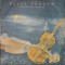 LP: PAVEL PAUSAN - BINE-AI VENIT ROMANTA, ELECTRECORD, ROMANIA 1988, VG/EX
