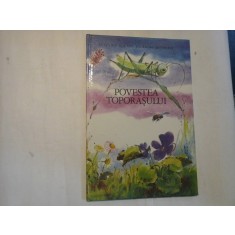 POVESTEA TOPORASULUI - un basm de Klaus BOURQUAIN