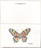 bnk cp Fluture - felicitare necirculata
