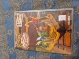 Dvd copii T-rex vol. 11