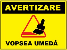 Placuta vopsea emeda foto