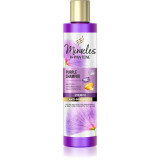 Pantene Pro-V Miracles Strength &amp; Anti-Brassiness sampon violet 225 ml