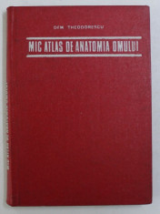MIC ATLAS DE ANATOMIA OMULUI BUCURESTI - DR.DOCENT DEM.THEODORESCU 1974 foto